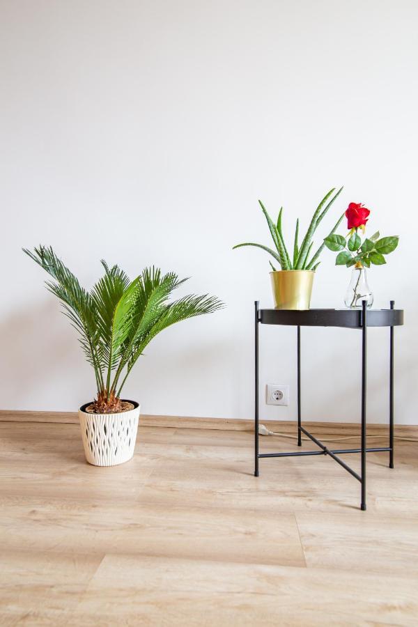 Best Rated Central Apartment Vienna - Ac, Wifi, 24H7Days Self Check-In, Board Games, Netflix Dış mekan fotoğraf